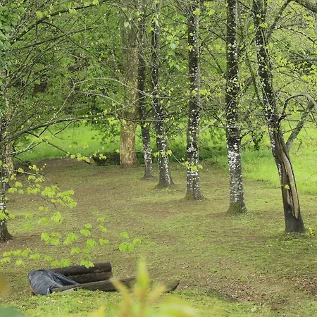 Casa De Outeiro Σπίτι διακοπών Cabeceiras de Basto