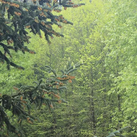 Σπίτι διακοπών Casa De Outeiro