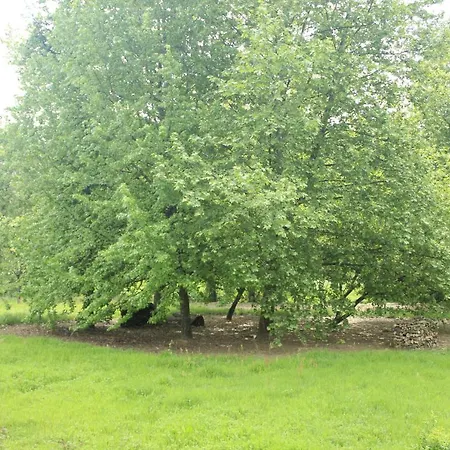 בית נופש Casa De Outeiro