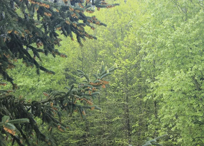 Дом отдыха Casa De Outeiro