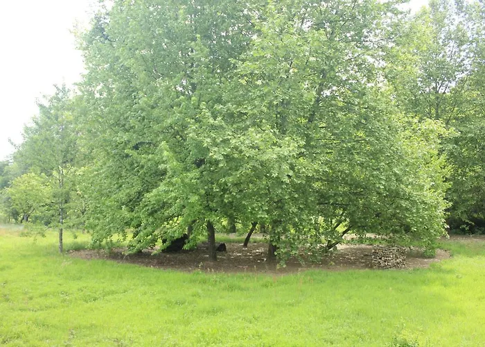 Tatil Evi Casa De Outeiro